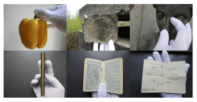 bossetti sokolowsko36 2